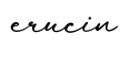 单词erucin书写