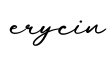 单词erycin书写