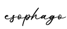 单词esophago书写