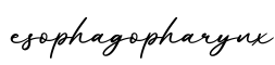 单词esophagopharynx书写