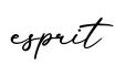 单词esprit书写