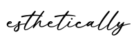 单词esthetically书写