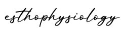 单词esthophysiology书写