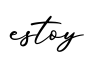 单词estoy书写