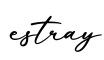 单词estray书写