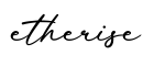 单词etherise书写