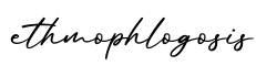 单词ethmophlogosis书写