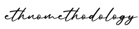 单词ethnomethodology书写