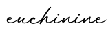 单词euchinine书写