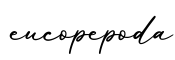 单词eucopepoda书写