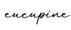 单词eucupine书写
