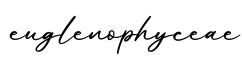 单词euglenophyceae书写