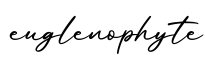 单词euglenophyte书写
