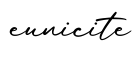 单词eunicite书写