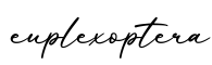 单词euplexoptera书写