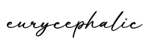 单词eurycephalic书写