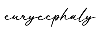 单词eurycephaly书写