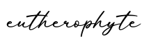 单词eutherophyte书写