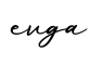 单词evga书写