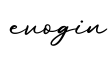 单词evogin书写