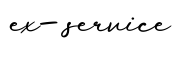 单词ex-service书写