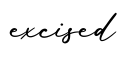 单词excised书写