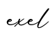单词exel书写