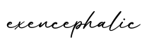 单词exencephalic书写