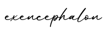 单词exencephalon书写