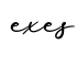 单词exes书写
