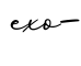 单词exo-书写