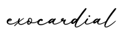 单词exocardial书写