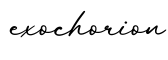单词exochorion书写