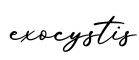 单词exocystis书写