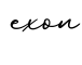 单词exon书写