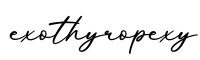 单词exothyropexy书写