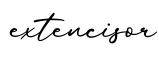 单词extencisor书写