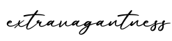 单词extravagantness书写