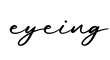 单词eyeing书写