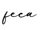单词feca书写