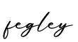 单词fegley书写