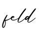 单词feld书写