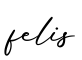 单词felis书写