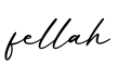 单词fellah书写