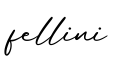 单词fellini书写