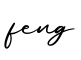 单词feng书写