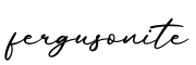单词fergusonite书写
