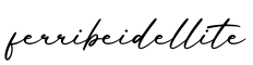单词ferribeidellite书写