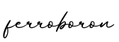 单词ferroboron书写