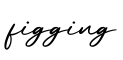 单词figging书写